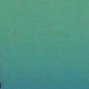 Meet your Posher, Mia